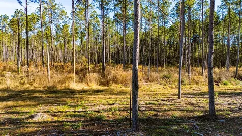 Lot 19 Big Buck Drive Moscow TX 75960