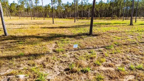 Lot 19 Big Buck Drive Moscow TX 75960