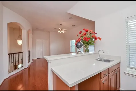 2231 Dali Lane Missouri City TX 77459