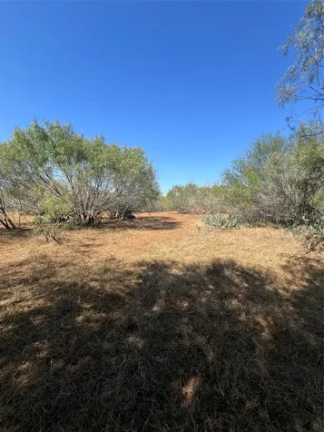 50 Cr 321 Tract 15 J243 Jourdanton TX 78026