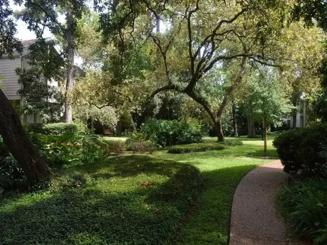 2100 Tanglewilde Street 740 Houston TX 77063