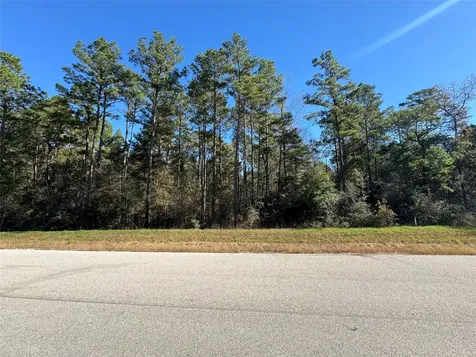 11-29-35 Grey Feather Road Huntsville TX 77340