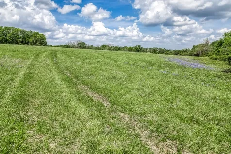 47 Acres Fm 50 Brenham TX 77833