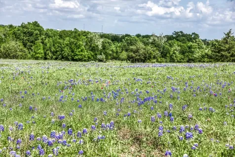 47 Acres Fm 50 Brenham TX 77833