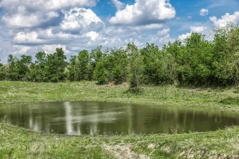 47 Acres Fm 50 Brenham TX 77833
