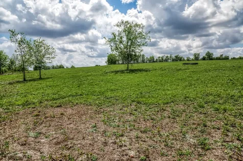 47 Acres Fm 50 Brenham TX 77833