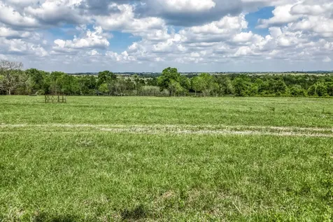 47 Acres Fm 50 Brenham TX 77833