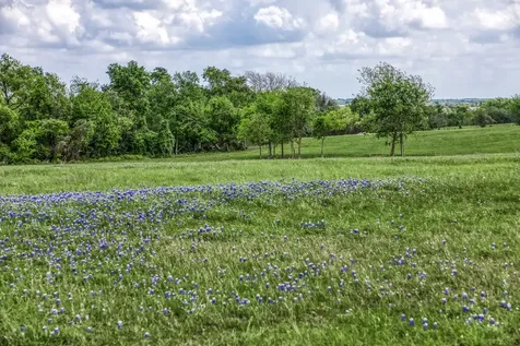 47 Acres Fm 50 Brenham TX 77833