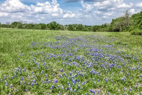 47 Acres Fm 50 Brenham TX 77833