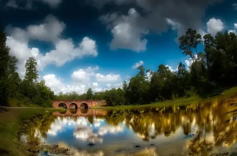 15 Rockledge The Woodlands TX 77382