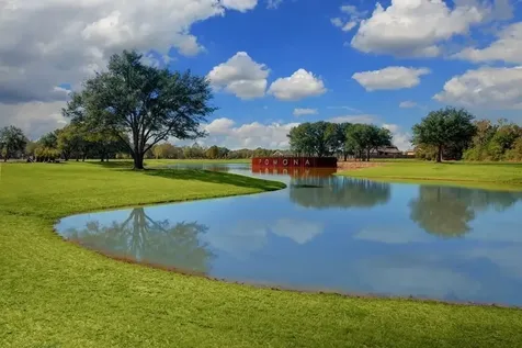 5514 Blackcurrant Road Manvel TX 77578