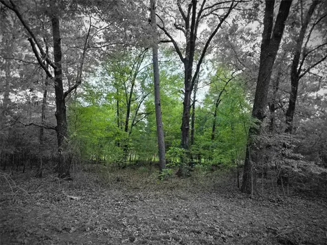 Tbd Lot 25 Bending Oaks Lane Livingston TX 77351