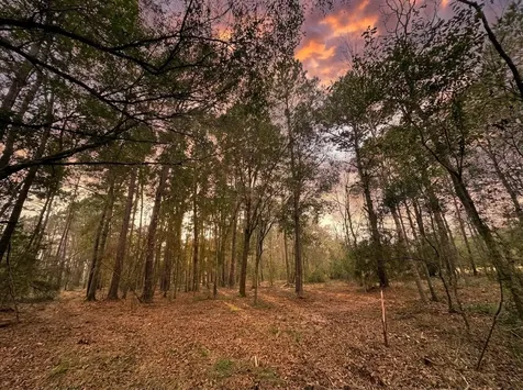 Lot 175 County Road 3017c Dayton TX 77535