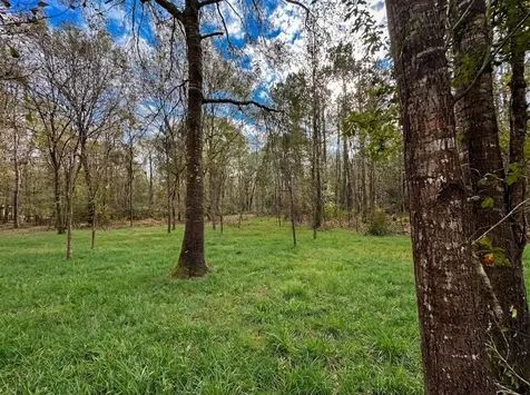 Lot 175 County Road 3017c Dayton TX 77535