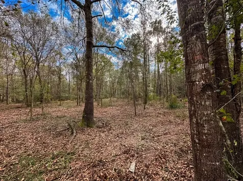 Lot 175 County Road 3017c Dayton TX 77535