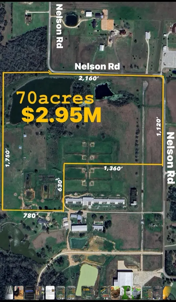 00000 Nelson Road Hempstead TX 77445