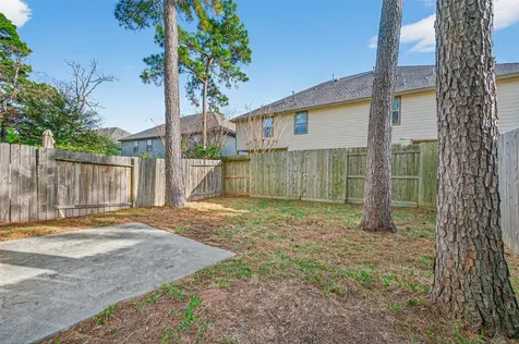 31 Wickerdale Place The Woodlands TX 77382