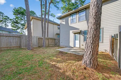 31 Wickerdale Place The Woodlands TX 77382