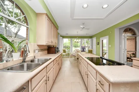 19 Wild Meadow Court The Woodlands TX 77380