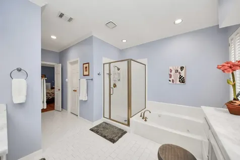 19 Wild Meadow Court The Woodlands TX 77380