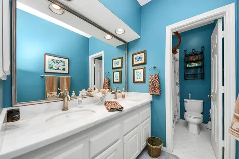 19 Wild Meadow Court The Woodlands TX 77380