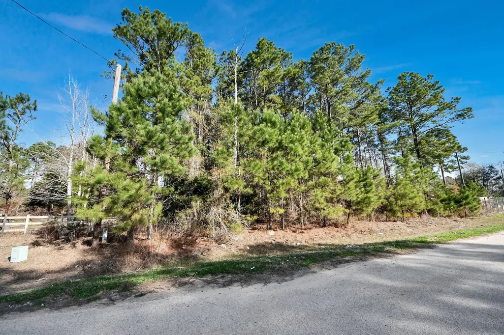 1307 County Road 3479j Cleveland TX 77327