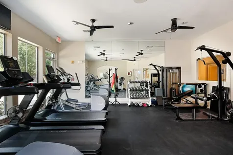 15 Lilac Ridge Place The Woodlands TX 77384
