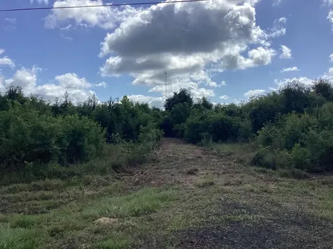 1900 E E Highway 190 Newton TX 75966