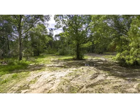 Tbd Lot 002 Holland Road Moscow TX 75960