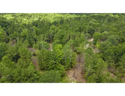 Tbd Lot 002 Holland Road Moscow TX 75960