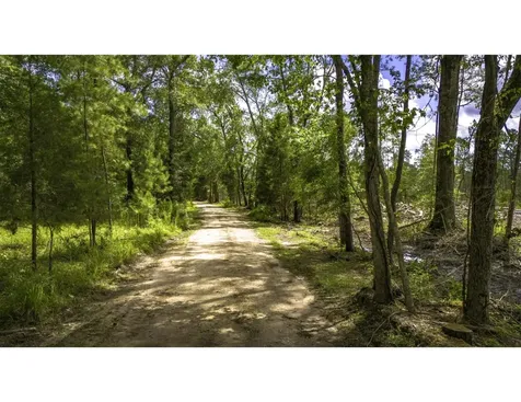 Tbd Lot 002 Holland Road Moscow TX 75960