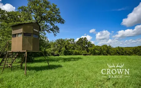TBD Fm 908 - 1057 Acres Caldwell TX 77836