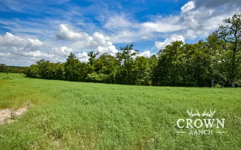 TBD Fm 908 - 1057 Acres Caldwell TX 77836