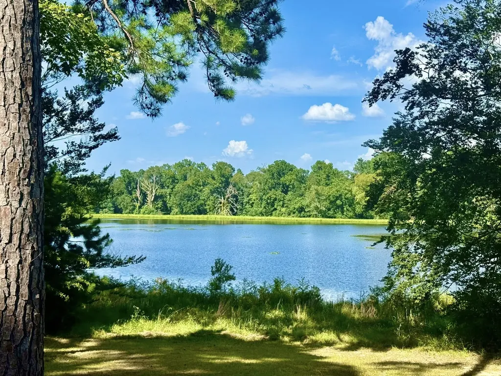 Tbd Lakeland Ranch Lot 392,393 Hillister TX 77624