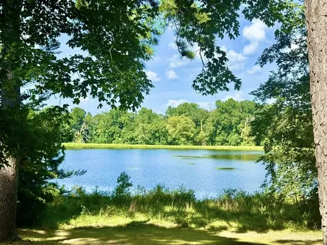Tbd Lakeland Ranch Lot 392,393 Hillister TX 77624