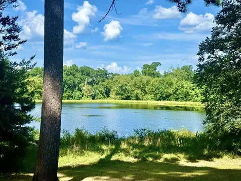Tbd Lakeland Ranch Lot 392,393 Hillister TX 77624