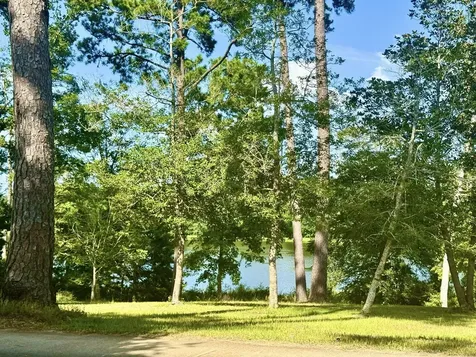 Tbd Lakeland Ranch Lot 392,393 Hillister TX 77624
