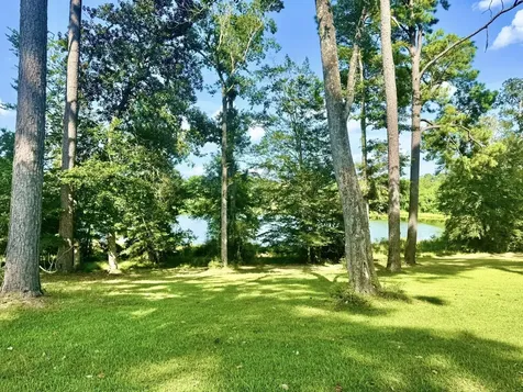 Tbd Lakeland Ranch Lot 392,393 Hillister TX 77624