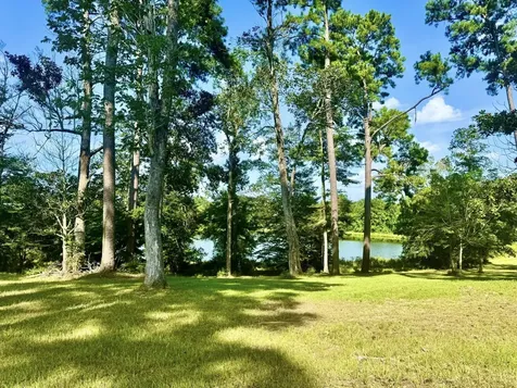 Tbd Lakeland Ranch Lot 392,393 Hillister TX 77624