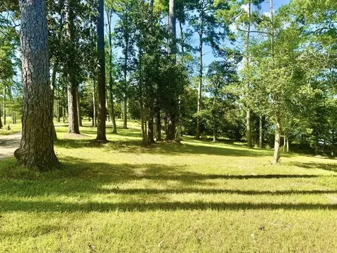 Tbd Lakeland Ranch Lot 392,393 Hillister TX 77624