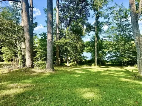 Tbd Lakeland Ranch Lot 392,393 Hillister TX 77624