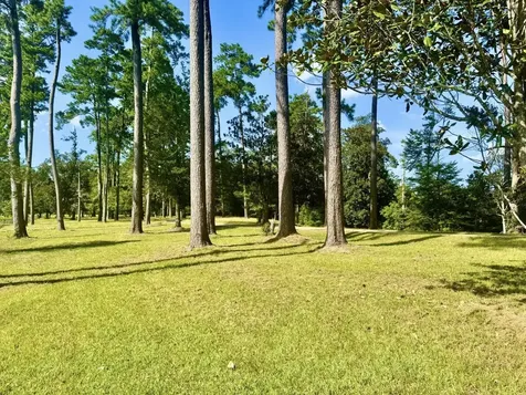 Tbd Lakeland Ranch Lot 392,393 Hillister TX 77624