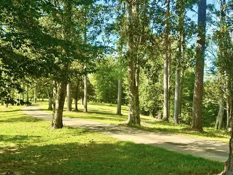 Tbd Lakeland Ranch Lot 392,393 Hillister TX 77624