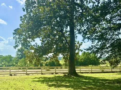 Tbd Lakeland Ranch Lot 392,393 Hillister TX 77624