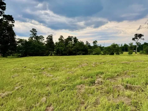 Tbd Lakeland Ranch Lot 392,393 Hillister TX 77624