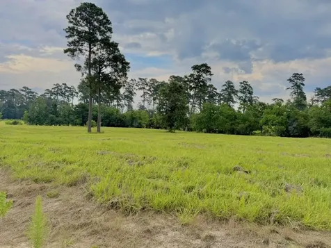 Tbd Lakeland Ranch Lot 392,393 Hillister TX 77624