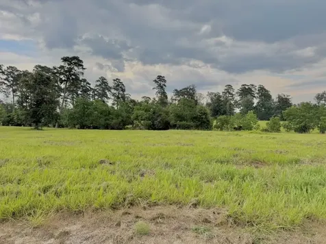 Tbd Lakeland Ranch Lot 392,393 Hillister TX 77624