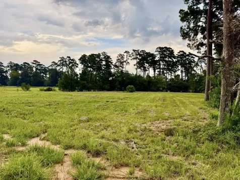 Tbd Lakeland Ranch Lot 392,393 Hillister TX 77624