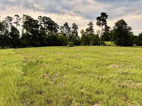 Tbd Lakeland Ranch Lot 392,393 Hillister TX 77624