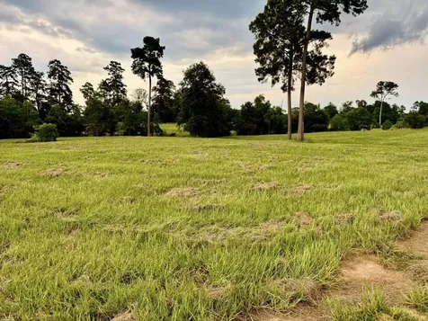 Tbd Lakeland Ranch Lot 392,393 Hillister TX 77624
